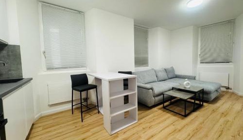 One-Bedroom Apartment with Terrace