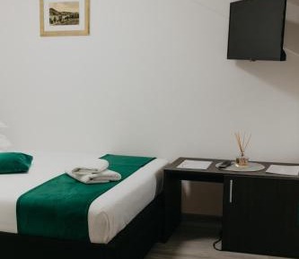 Superior Single Room