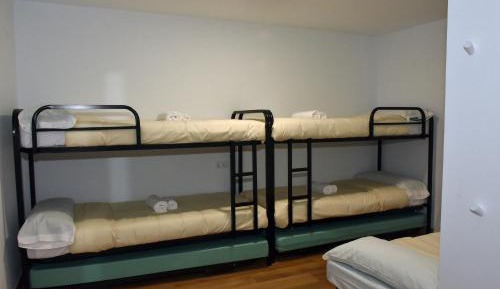 Bunk Bed in Mixed Dormitory Room