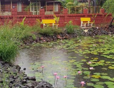 Double Room with Lake View