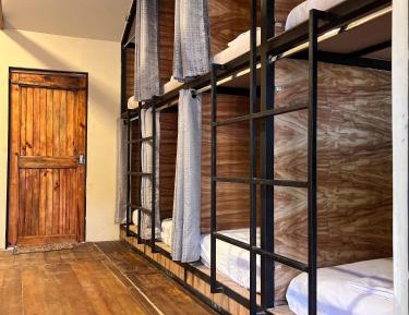 Bed in 8-Bed Mixed Dormitory Room