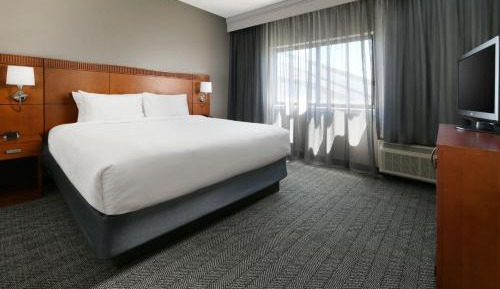 One-Bedroom Suite with King Bed and Sofa Bed