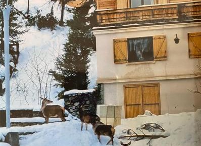 Chalet