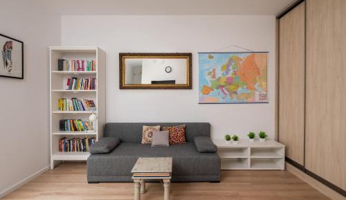 Studio with Sofa Bed