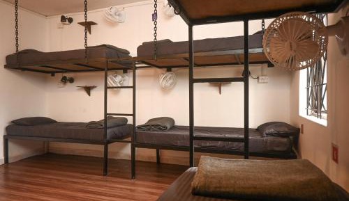 Bed in 6-Bed Mixed Dormitory Room
