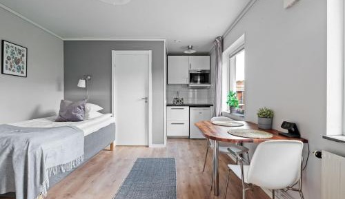 Studio (1 Adult)
