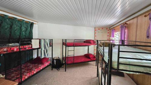 Bed in 6-Bed Mixed Dormitory Room