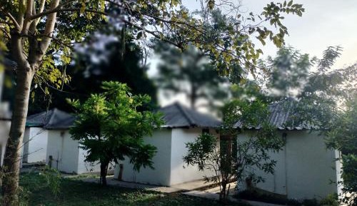 Double Room with Mountain View