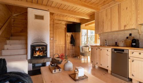 Chalet with Fireplace