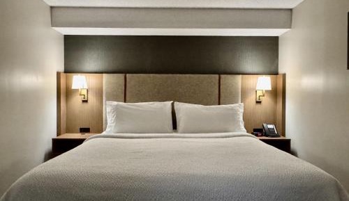 Executive King Suite