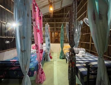 Bed in 4-Bed Mixed Dormitory Room