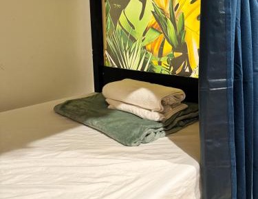 Bunk Bed in Mixed Dormitory Room