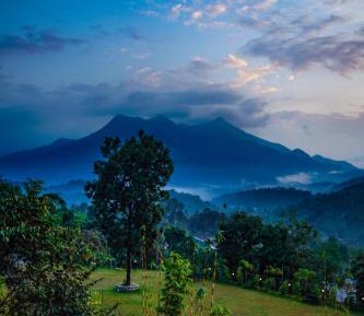 Suite with Mountain View