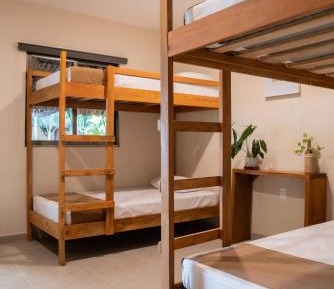 Bunk Bed in Mixed Dormitory Room