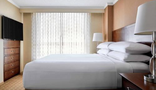 One-Bedroom Suite with Sofa Bed