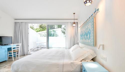 Superior Double Room with Terrace