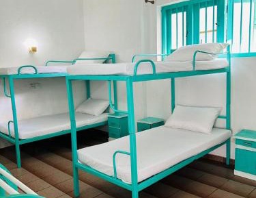 Single Bed in 4-Bed Dormitory Room