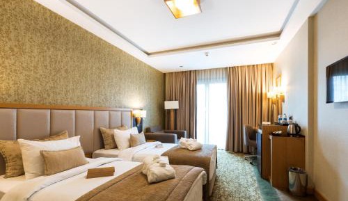 Deluxe Double or Twin Room