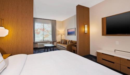 Suite, 1 King, Sofa bed