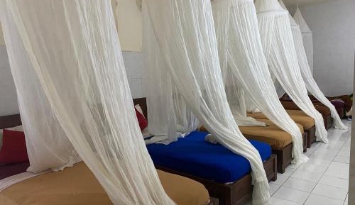 Single Bed in 6-Bed Dormitory Room