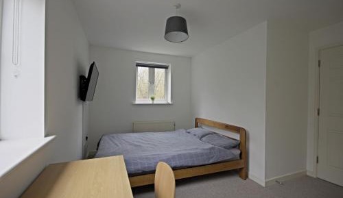 King Room