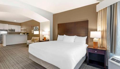 1 King Bed, Suite Nonsmoking