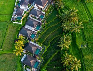 One-Bedroom Villa with Private Pool and Rice Field View 