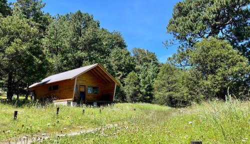 One-Bedroom Chalet
