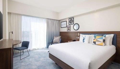 Queen Room