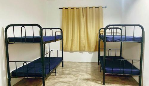 Bed in 4-Bed Female Dormitory Room