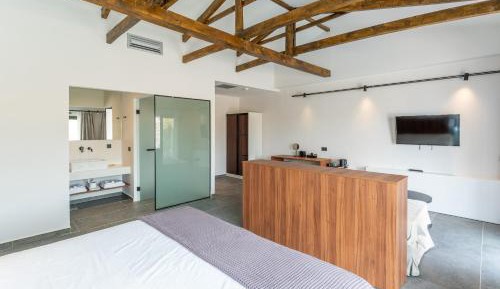 Suite with Private Pool