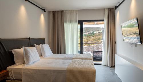 Double Room with Mountain View