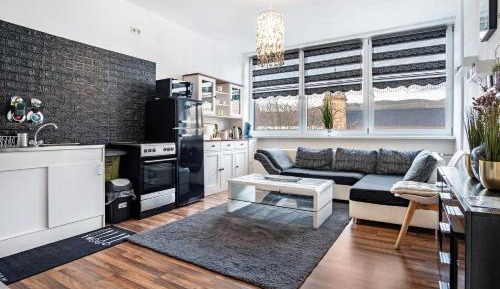 Superior One-Bedroom Apartment