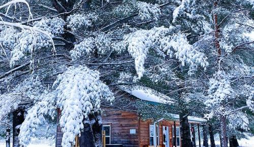 One-Bedroom Chalet