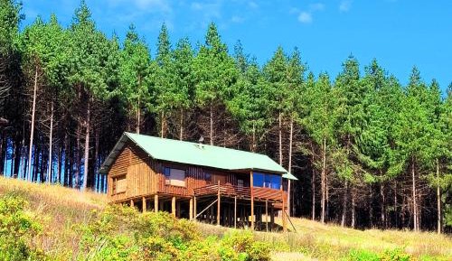 Single Story Cabin
