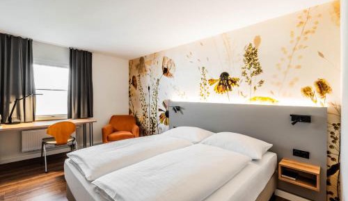 Superior Queen Room