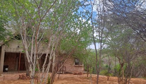 Superior Double or Twin Room with Garden View