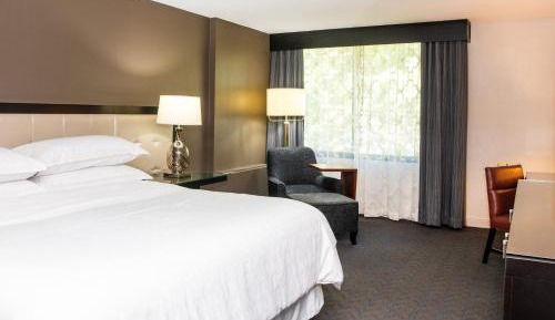Traditional King, Guest room, 1 King