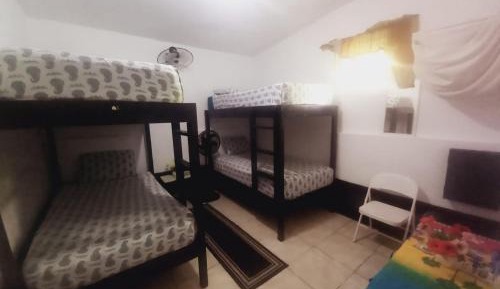 Bunk Bed in Mixed Dormitory Room