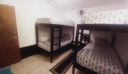 Single Bed in 4-Bed Dormitory Room