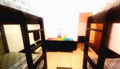 Single Bed in Mixed Dormitory Room