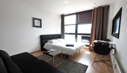Deluxe One-Bedroom Apartment with City View