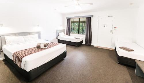 Comfort Room Pet Friendly