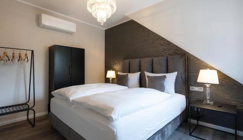 Deluxe One-Bedroom Apartment