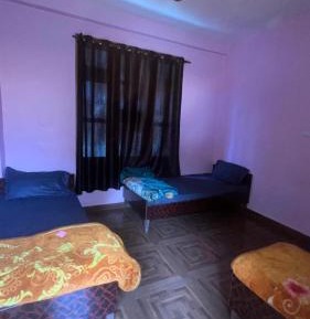 Single Bed in Mixed Dormitory Room