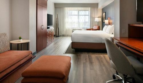 Junior King Suite with Sofa Bed