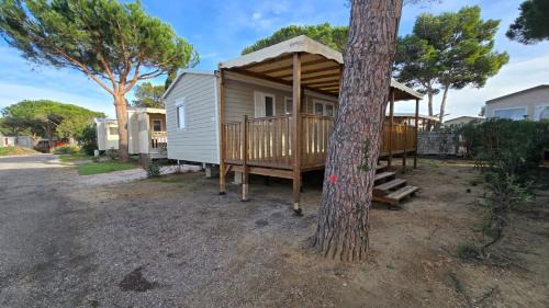 Mobile Home