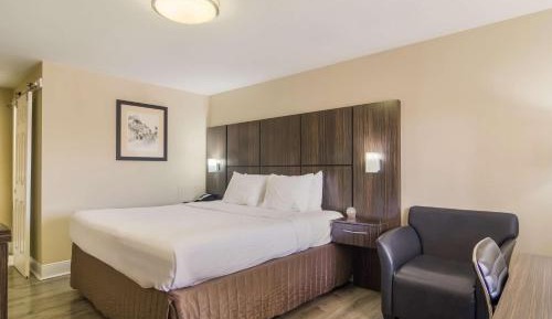 King Room with Bay View - Non-Smoking