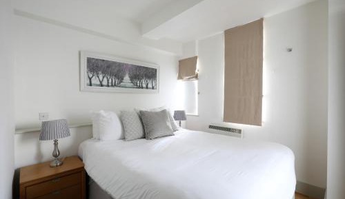 One-Bedroom Premier Apartment