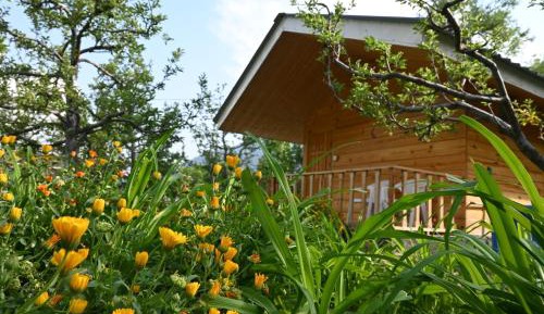 One-Bedroom Chalet